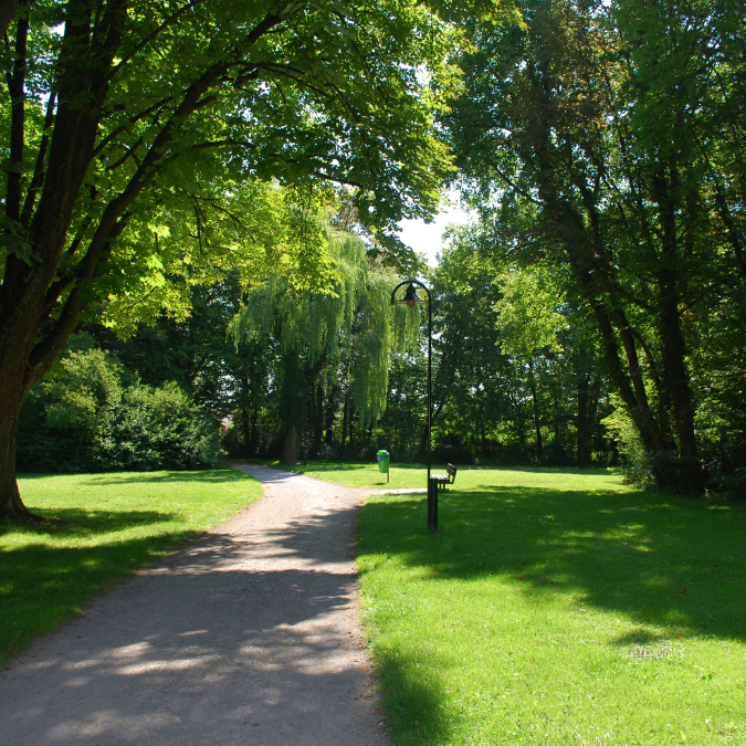 Shaded forest trail in Rimba Alam Park Putrajaya with paved walking path