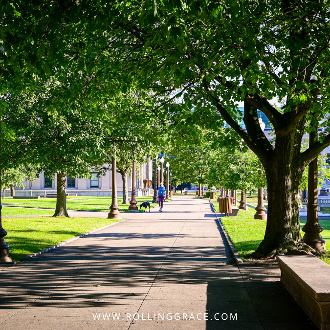 Wide pedestrian pathway under mature trees in Taman Warisan Pertanian Putrajaya