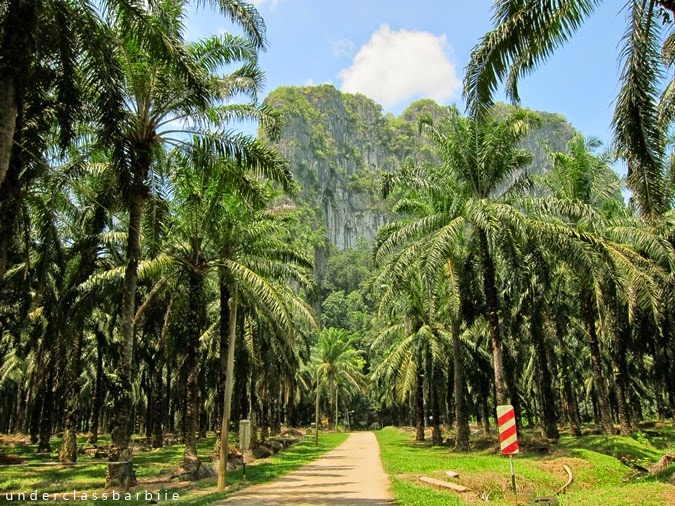 Dense jungle surrounding Gua Charas temple cave in Panching, Kuantan