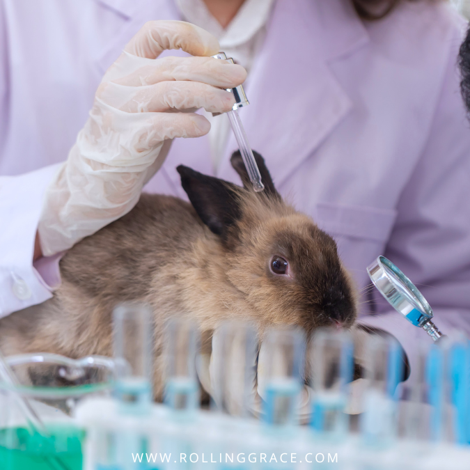 5 Best Cruelty-Free Makeup Brands in Malaysia for Ethical Beauty 5 Gloved hands holding rabbit near cosmetic vials, cruelty-free makeup brands in Malaysia