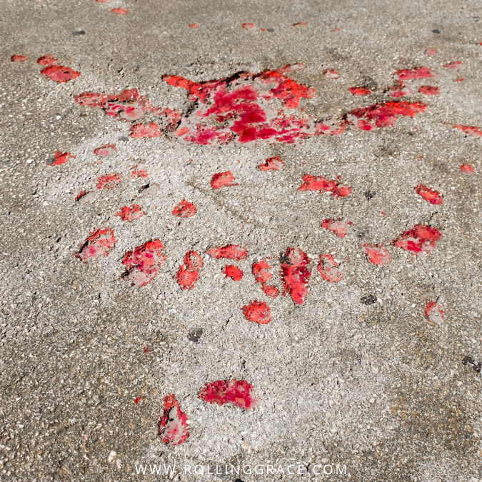 A Sarajevo Rose filled with red resin on cracked pavement, marking a spot where a shell once struck during the siege.