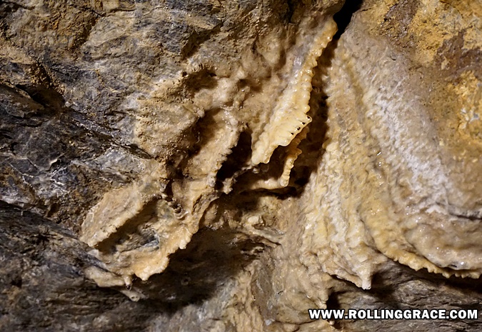 Calcite formations along the cave walls of Gua Kelam