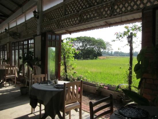 Pia’s The Padi Langkawi restaurant overlooking rice paddy fields