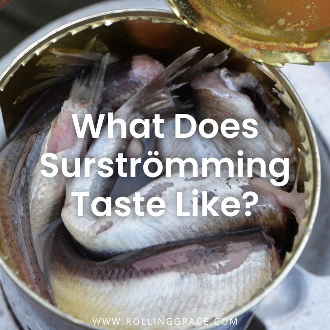 What Is Surströmming? 7 Facts on Fermented Herring in Sweden