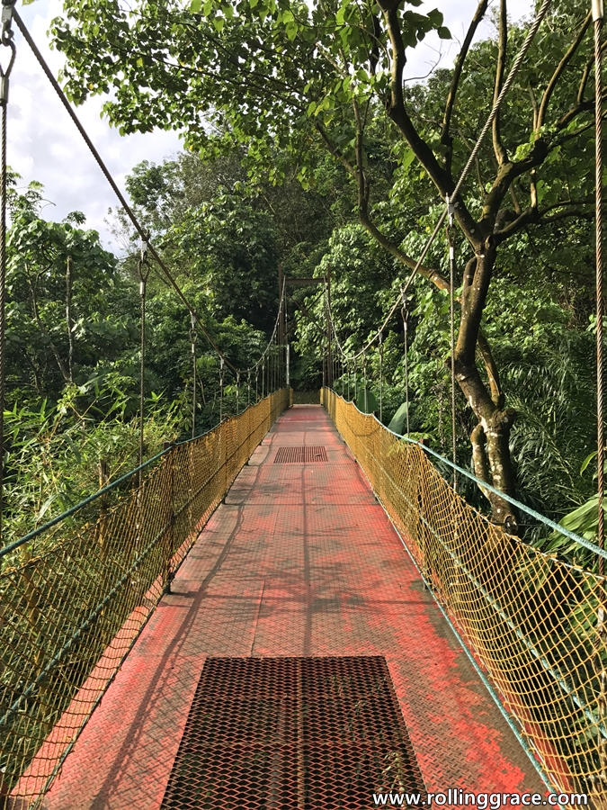 Suspension bridge with metal grating crossing through forest at Bukit Kiara Park TTDI Kuala Lumpur
