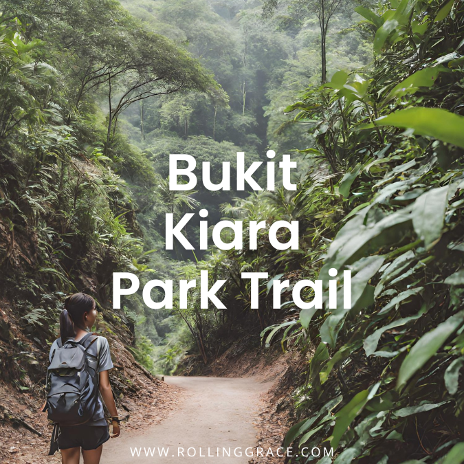 7 Best Bukit Kiara Trail Tips: Your Complete Hiking Guide