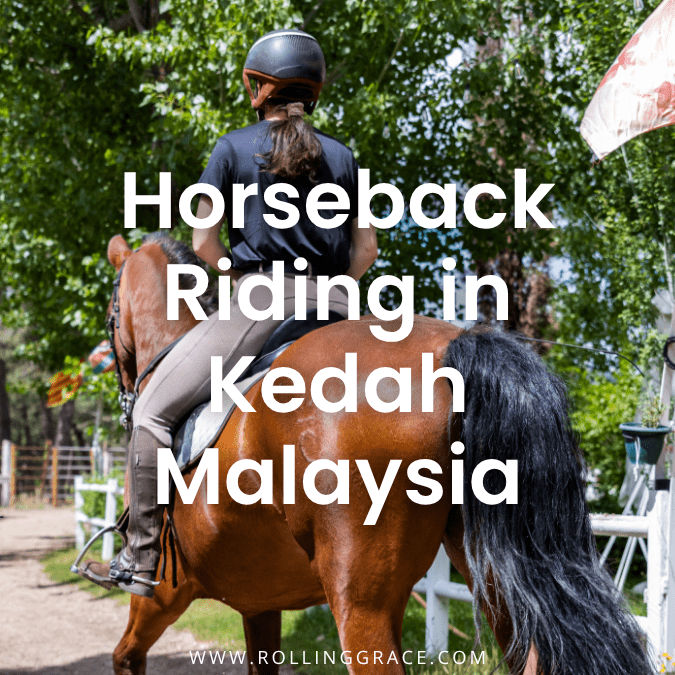 Equine Resort Yan: Discover Horse Riding in Kedah, Malaysia