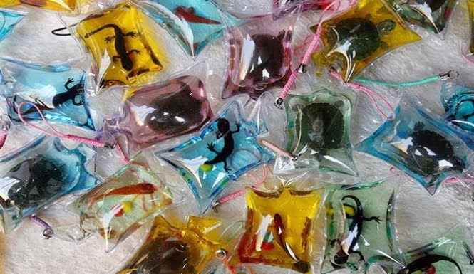 How to Be an Ethical Traveller: 5 Ways to Make a Difference 8 Live animals sealed inside plastic keychains sold as souvenirs, unethical souvenir shopping