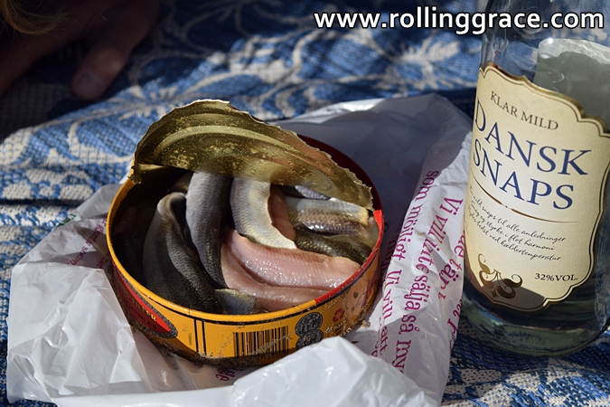 Open can of surströmming fermented herring on a wooden surface next to a bottle of Dansk snaps