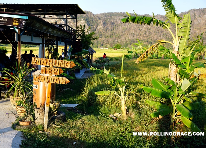 Open paddy field view from the dining area at Warung Tepi Sawah Kangar Perlis Malaysia