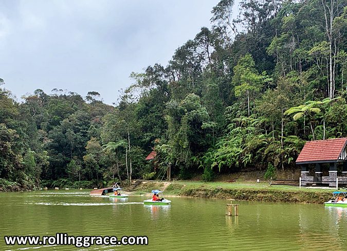 10 Fascinating Things to Do in Fraser's Hill, Pahang 5 Paddle boats on a calm lake surrounded by forest at Allan's Water Fraser's Hill Pahang