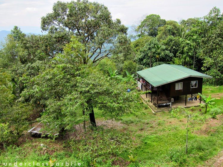 Traditional Dusun tribe houses surrounded by forest in the highlands of Ranau, Sabah