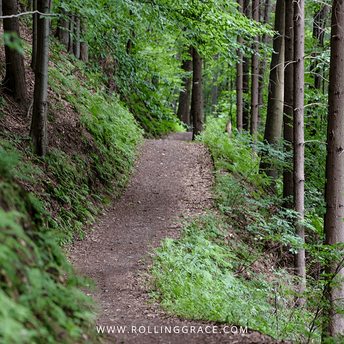 10 Fascinating Things to Do in Fraser's Hill, Pahang 2 Paved winding path through green forest on Hemmant Trail at Fraser's Hill Pahang
