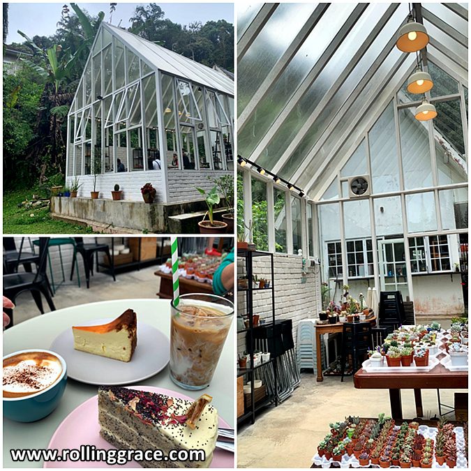 10 Fascinating Things to Do in Fraser's Hill, Pahang 9 Glasshouse cafe exterior and interior with coffee and cake at Fraser's Hill Pahang