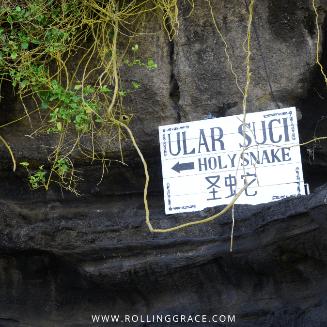 Signage for the sacred sea snakes at the base of the Tanah Lot temple rock