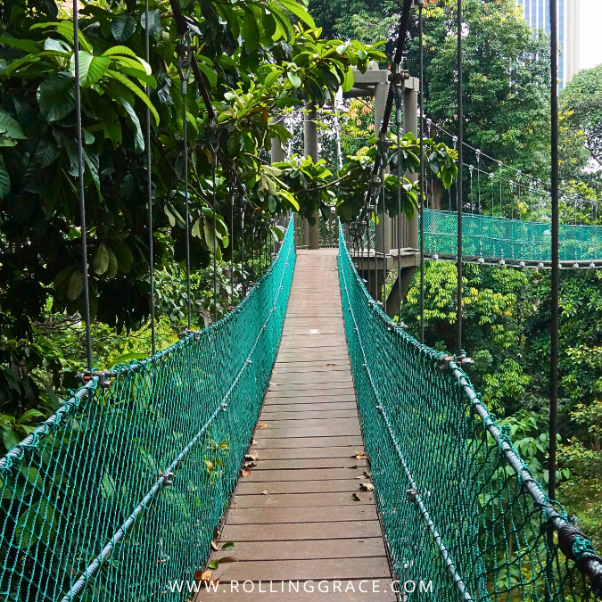 KL Forest Eco Park: 3 Trails, Canopy Walk and Entrance Fee 4 Close-up of wooden and steel suspension bridge on the canopy walk at KL Forest Eco Park, Kuala Lumpur