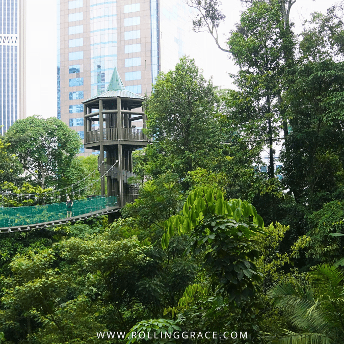 KL Forest Eco Park: 3 Trails, Canopy Walk and Entrance Fee 6 Observation tower platform at KL Forest Eco Park with Kuala Lumpur skyscrapers visible through the trees