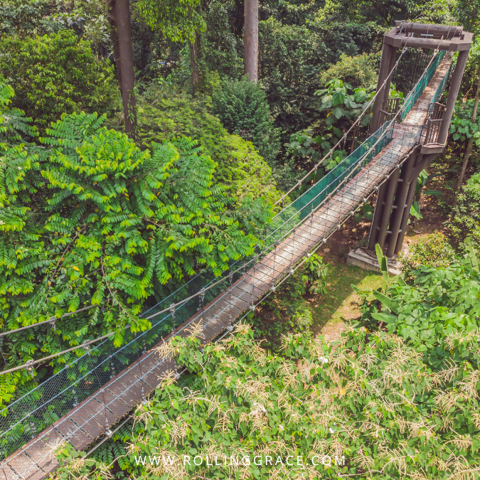 KL Forest Eco Park: 3 Trails, Canopy Walk and Entrance Fee 5 Green suspension bridge through dense rainforest at KL Forest Eco Park, Bukit Nanas