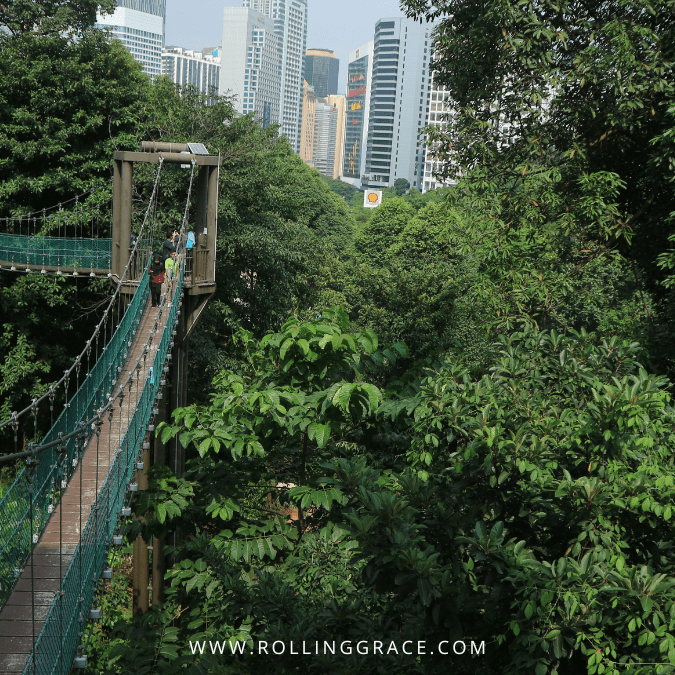 KL Forest Eco Park: 3 Trails, Canopy Walk and Entrance Fee 3 Aerial view of the canopy walkway at KL Forest Eco Park with Kuala Lumpur skyline in the background