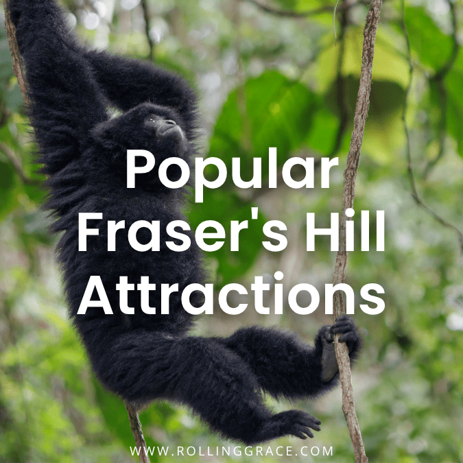 10 Fascinating Things to Do in Fraser’s Hill, Pahang