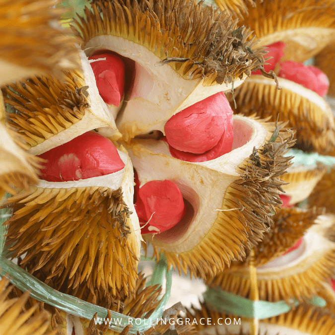 Best Sarawak Food: 20 Must-Try Traditional Dishes Guide 16 Wild Sukang red durian and Dalit orange durian foraged from the Borneo jungle in Sarawak