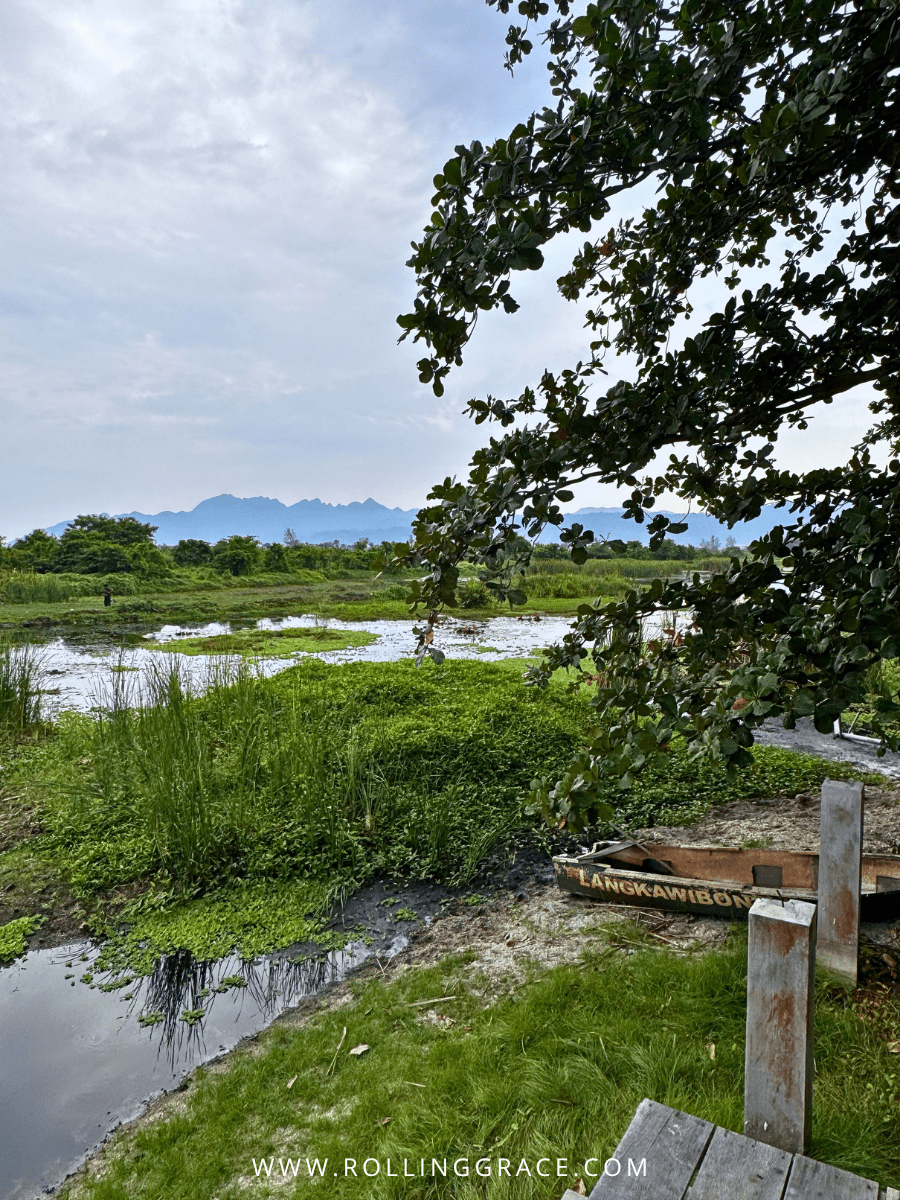 Open wetland and sky viewed from the grounds of Bon Ton Resort and LASSie sanctuary, Langkawi, Malaysia