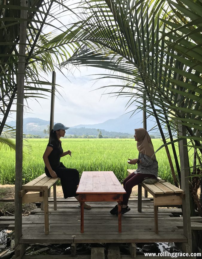 Ladang Nira Nipah Napiah: 6 Best Things to Do in Merbok 4 Visitors inside Ladang Nira Nipah Napiah grove with paddy fields and Gunung Jerai backdrop in Merbok Kedah