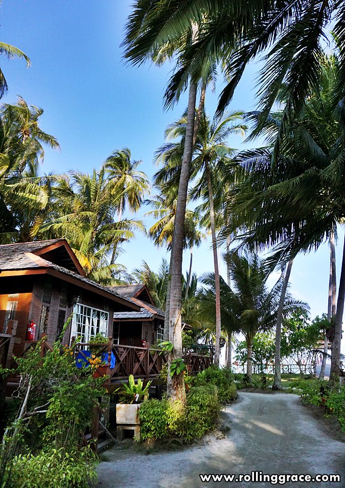 Sipadan Mabul Resort SMART Sabah: 7 Essential Travel Tips 12 Wooden chalets along pathway through coconut grove at Sipadan Mabul Resort Mabul Island Sabah