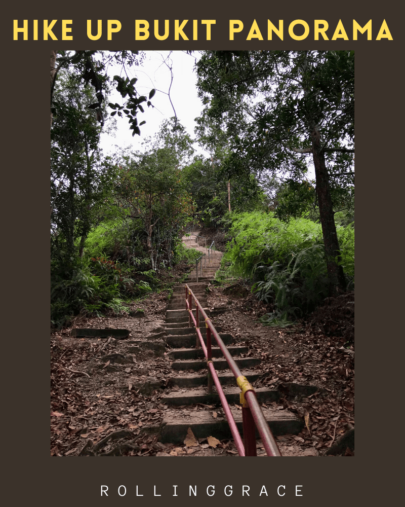 Things to Do in Sungai Lembing: 8 Best Pahang Attractions 12 Bukit Panorama hiking trail stairs leading up through forest in Sungai Lembing Pahang