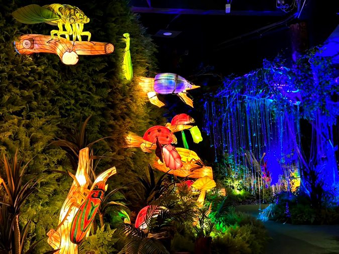 Wetland Studios Putrajaya brings edutainment experiences and environmental education to life for visiting families