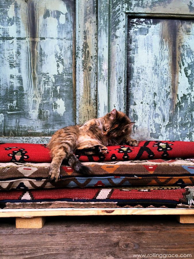 Čajdžinica Džirlo: A Beautiful Sarajevo Tea House in Bosnia 8 House cat resting on traditional Bosnian bench cushions at Čajdžinica Džirlo Sarajevo