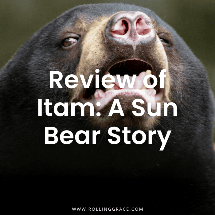 Itam A Sun Bear Story: 7 Great Facts About the Documentary