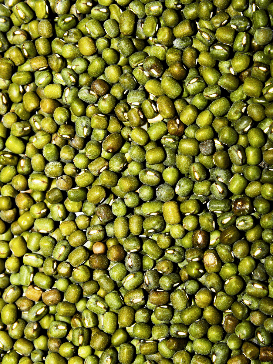 Dried green mung beans used in a mung bean soup recipe, shown close up before cooking