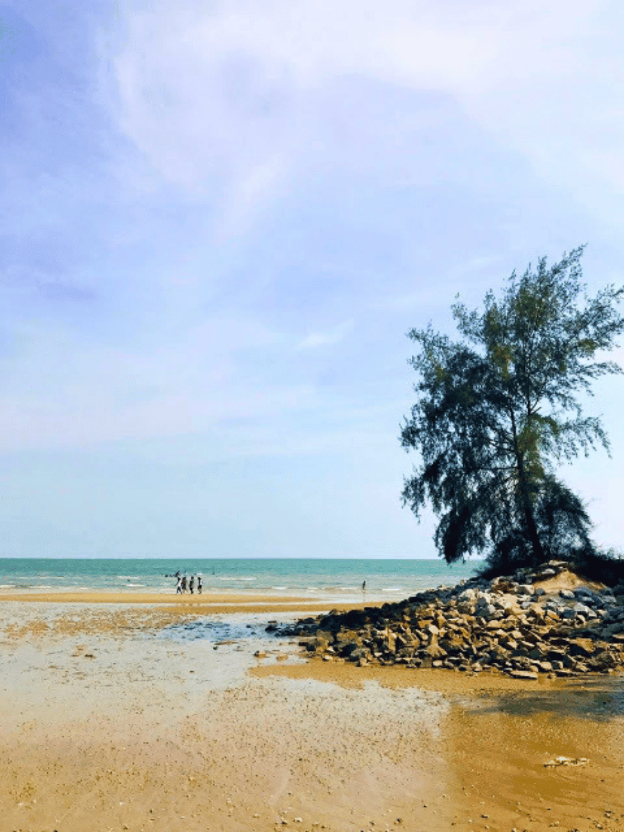 Sandy beach with a shade tree and visitors in the distance at Pantai Tanjung Biru