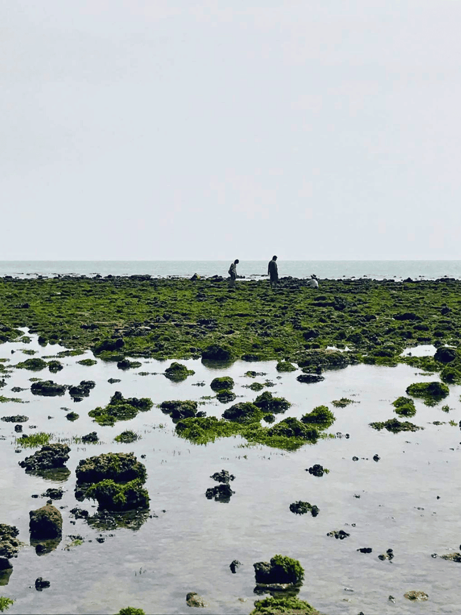 Visitors walking across the wide exposed seabed at low tide at Pantai Tanjung Biru Port Dickson