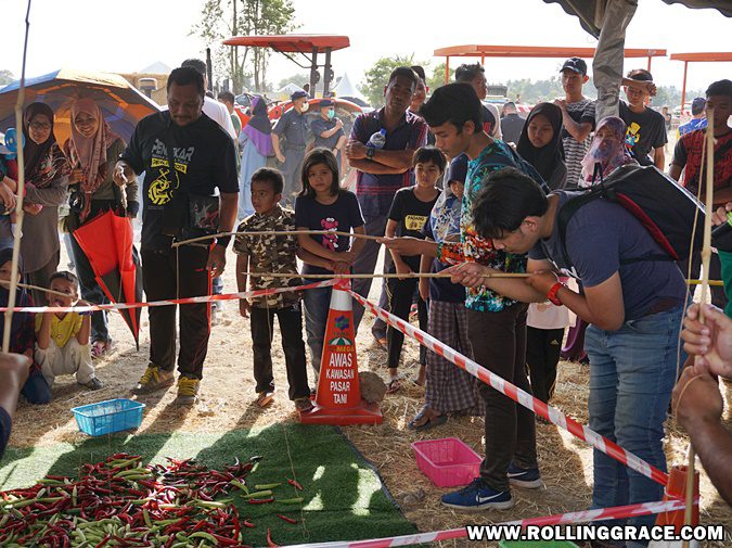 Visitors taking part in the chili fishing game at Pesta Angin Timur Perlis