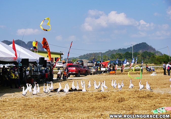 Kite fliers gathered on the open fields at Pesta Angin Timur Perlis festival