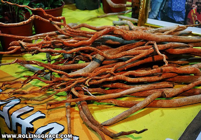 Edible and medicinal local roots for sale at Pesta Angin Timur Perlis market