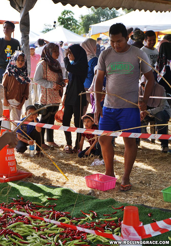 Crowd gathered around a traditional muddy paddy field game at Pesta Angin Timur Perlis
