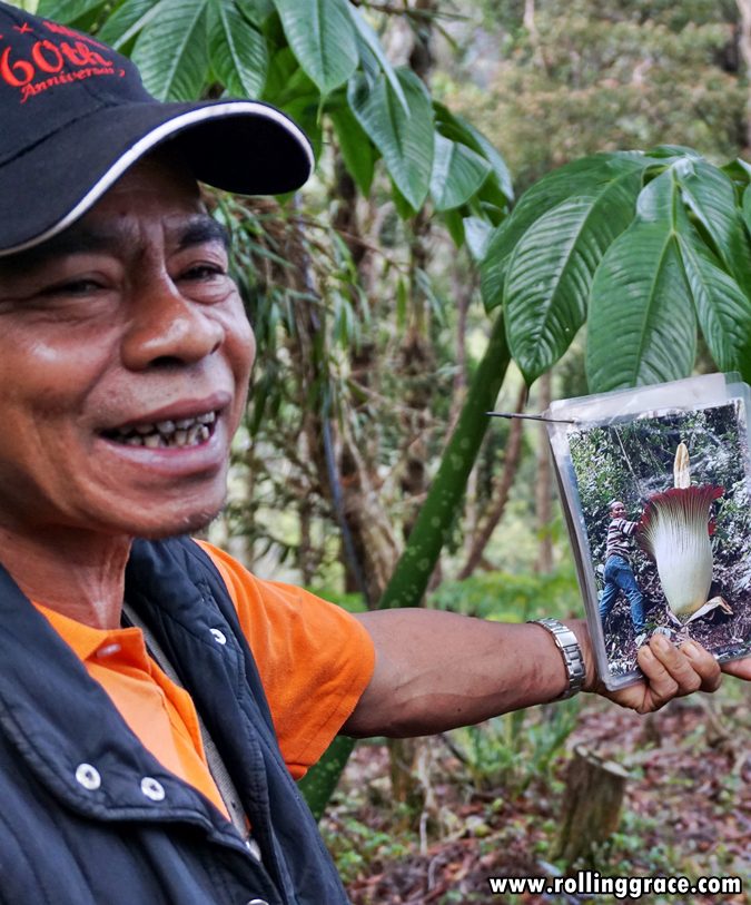 Park guide holding up an orchid information card during a guided excursion at Gunung Jerai Botanical Park Kedah
