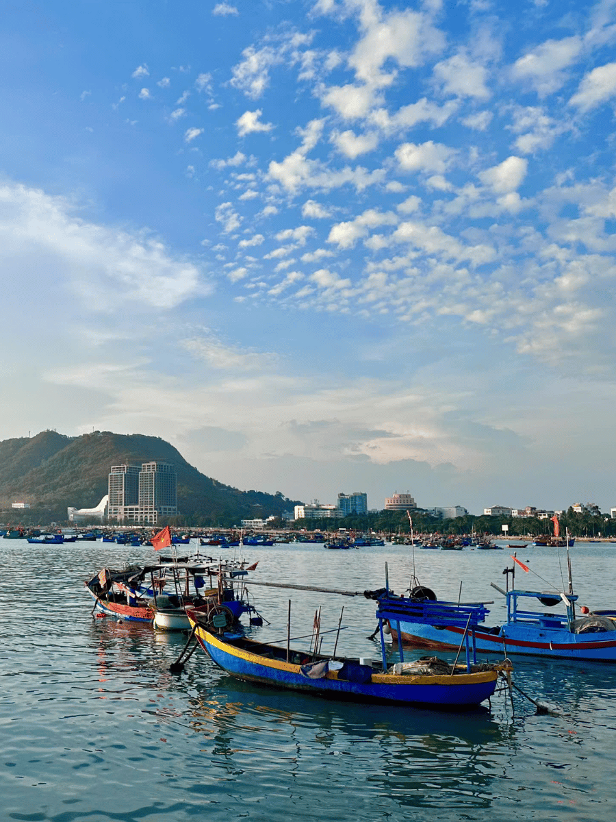 9 Best Vũng Tàu Attractions You Can't Miss in Vietnam 15 Fishing boats in the harbour with Vũng Tàu coastline and mountains in the background Vietnam