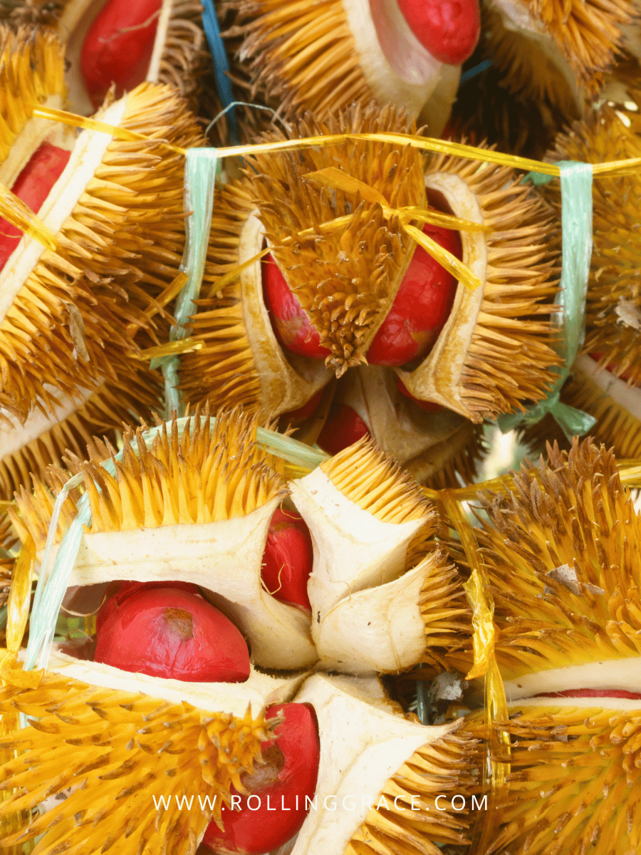 Red durian in Borneo Durian Sukang with crimson flesh exposed inside a split yellow husk