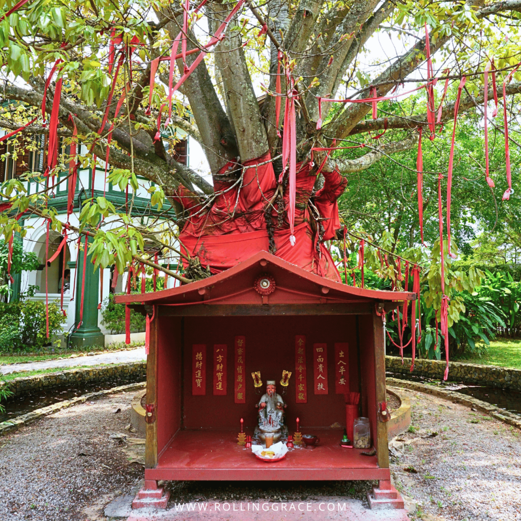 Red Tua Pek Kong shrine beneath the temple tree hung with red ribbons at Temple Tree Resort Langkawi