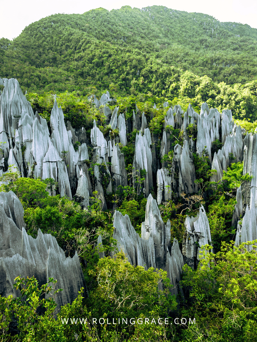Gunung Mulu National Park limestone pinnacles in Sarawak, a must-visit things to do in Miri