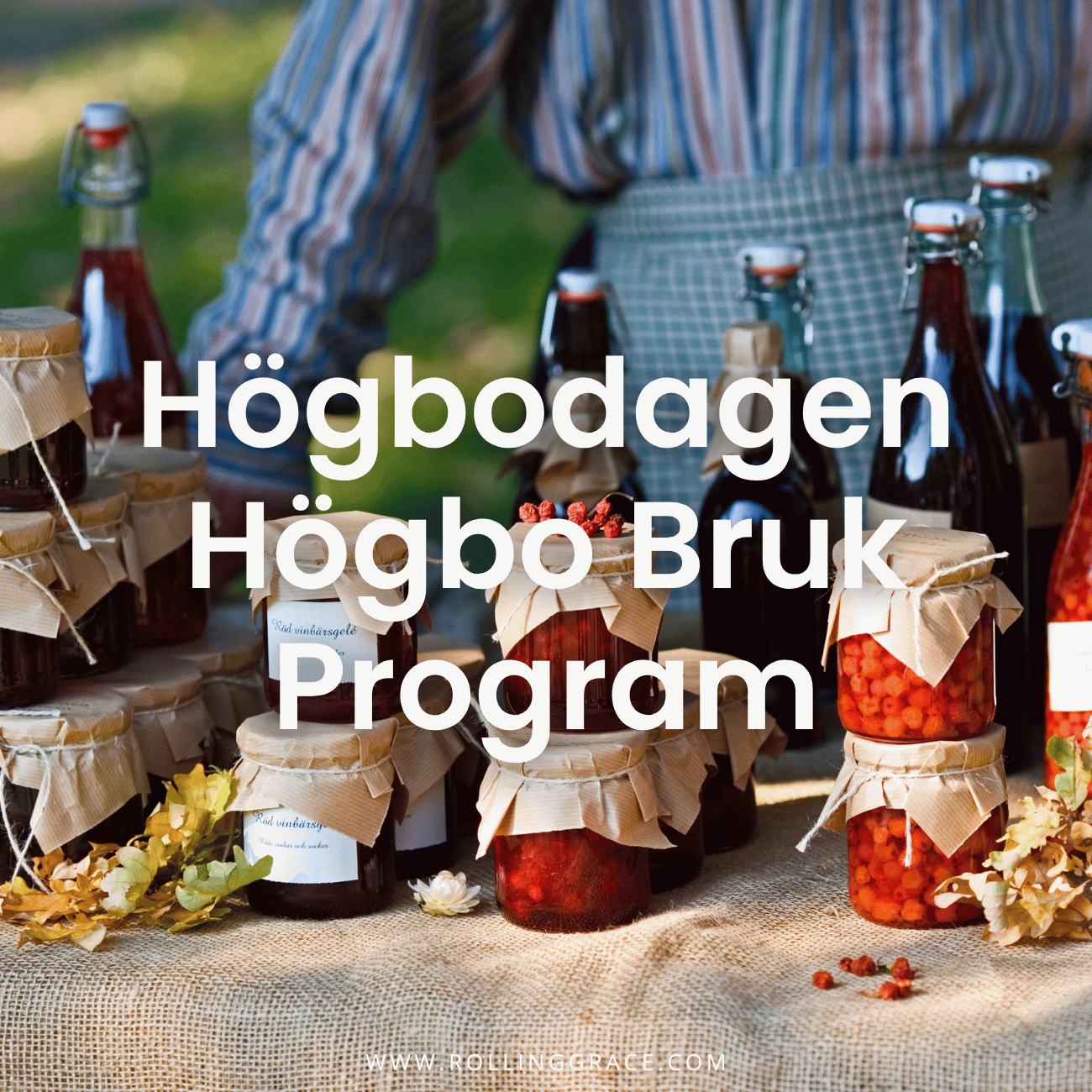 Högbodagen Sandviken Swedish Festival: 9 Best Things to Do