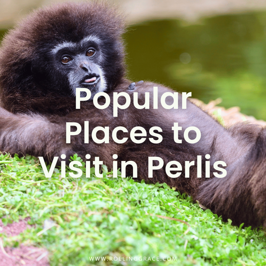 9 Best Things to Do in Perlis You’ll Absolutely Love